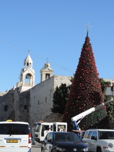 sapin Noël devant la basilique de la Nativité. 